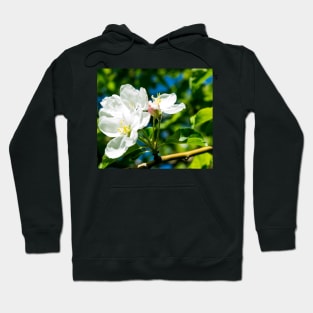 Crabapple blossoms Hoodie